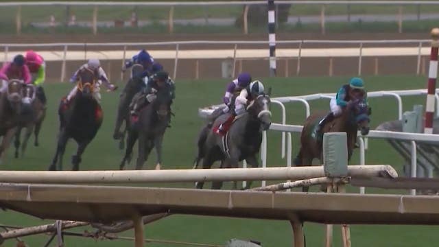 Horse dies after suffering heart attack at Santa Anita racetrack, 33rd death since December