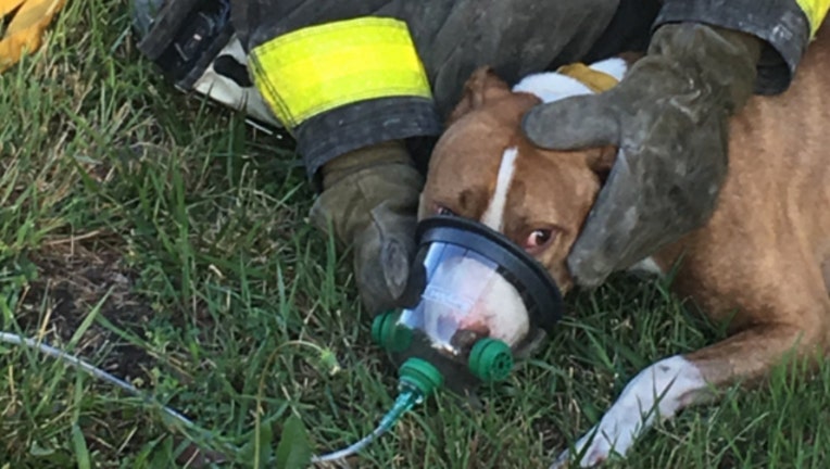 bd75eb36-fire rescue_1499994128551.jpg