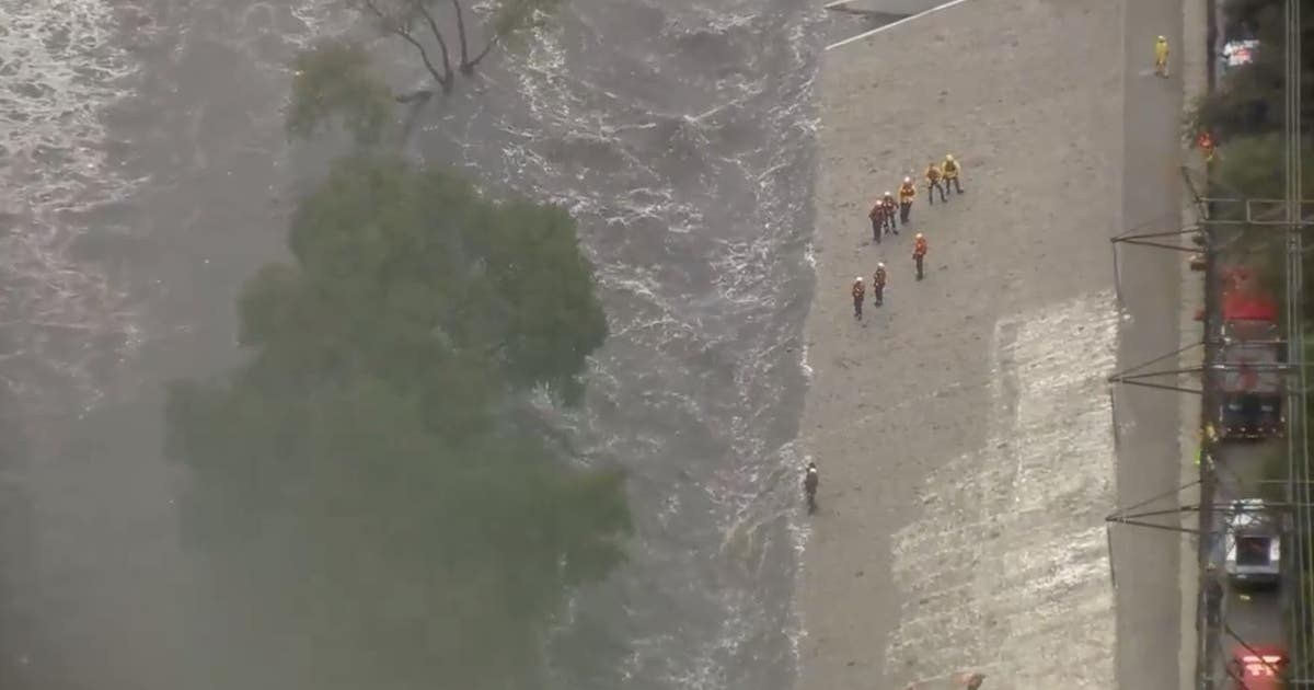 Man rescued after spotted clinging to tree in LA River | FOX 32 Chicago