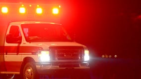 6 injured, including 4 kids, in Ashburn crash