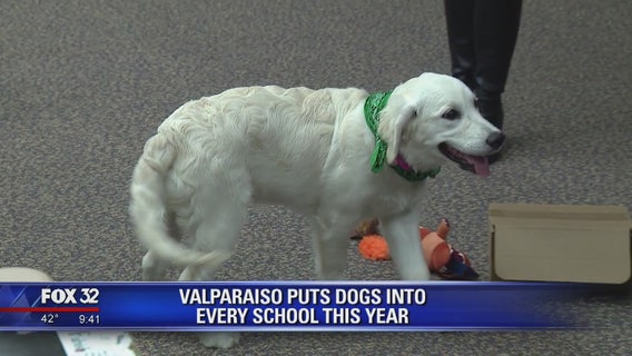 Northwest Indiana school district puts dogs into every school this year