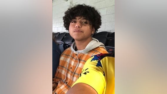 Body found in Wauconda swamp identified as missing Island Lake teen