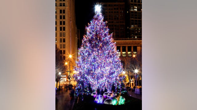 Chicago selects official 2019 Christmas tree