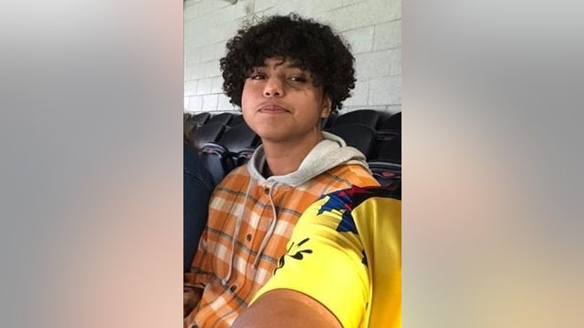 Body found in Wauconda swamp identified as missing Island Lake teen