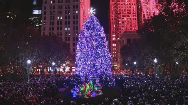 Chicago's Christmas tree is officially lit for the holiday season