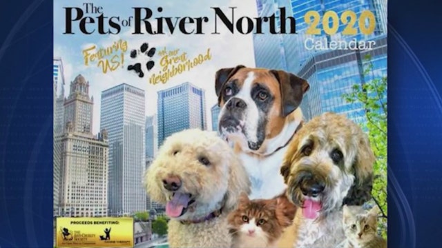 "Pets of River North" calendar benefiting Chicago's homeless pets