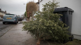 Florida charity will use your Christmas tree to make canes for veterans