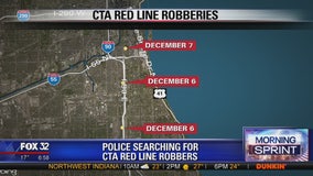 CTA Red Line passengers targeted in Near South Side robberies: police