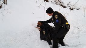 Heartwarming photo shows sergeant comforting dog hit by car