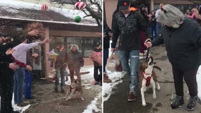 Home for the holidays: Dog gets adopted in time for Christmas after 500 days in animal shelter