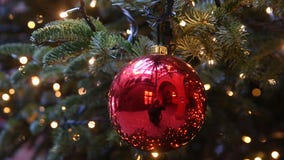 Aurora Festival of Lights opens for the 14th year