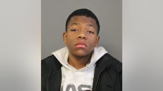 Boy, 13, missing from Goose Island located safely