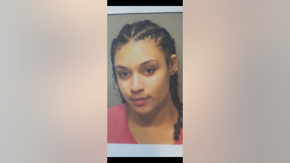 2 arrested after wrong-way car nearly hits squad car on Indiana Toll Road