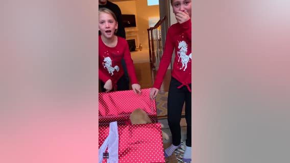 Oakland County sisters explode with joy when Christmas wish for new puppy comes true