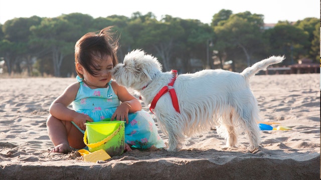 Growing up with a pet dog may lower risk of schizophrenia later in life, study suggests