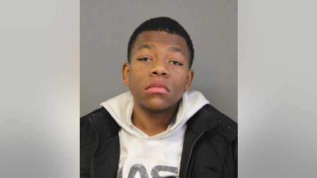 Boy, 13, missing from Goose Island located safely