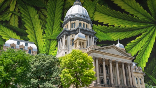 Illinois governor clears more than 11,000 marijuana convictions