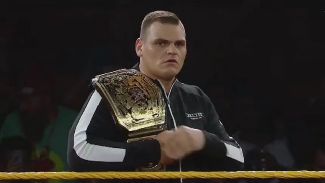 WWE wrestler's championship belt stolen by car thief in Chicago