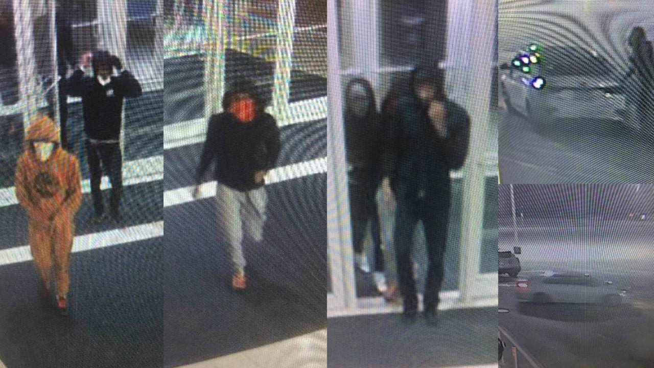 Svane Kano isolation Thieves grab $20K worth of purses from Louis Vuitton in Northbrook