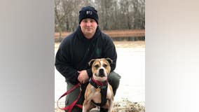 Rescued dog becomes first pit bull arson detection K9 in New Jersey