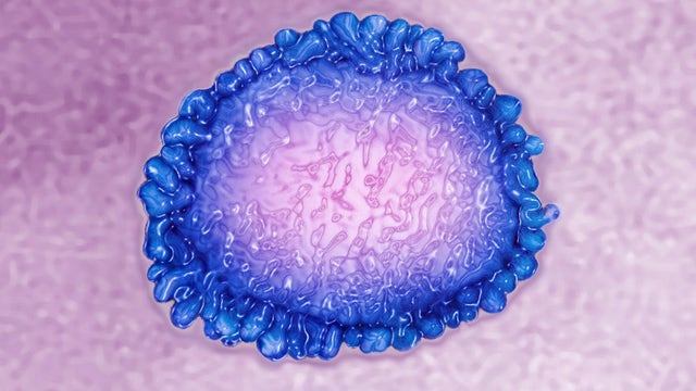 Trump bars entry of foreign nationals into US who pose coronavirus transmission risk