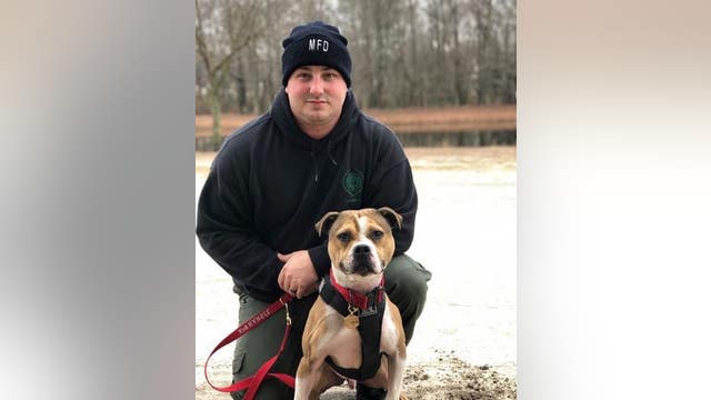 Rescued dog becomes first pit bull arson detection K9 in New Jersey