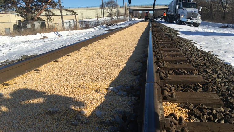 Corn mysteriously fills railroad tracks in Crystal, Minnesota as far as the eye can see.