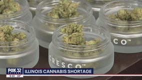 Cannabis Crisis: Illinois recreational weed shortage to last a few more months