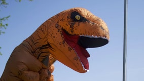 Cops called to pot smell coming from neighbor's apartment find burning T-Rex costume instead