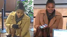 Reward offered in Naperville identity theft case