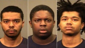 Men suspected of stealing from vehicles found sleeping with masks on in Joliet, police say