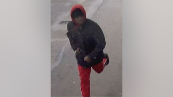 Police seek suspect in Chatham sexual assault