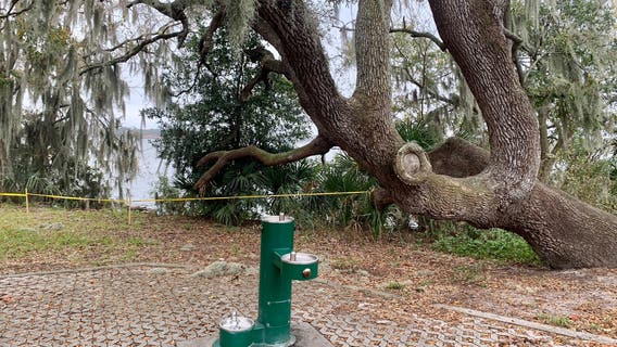 Florida officials block off area so amorous snakes can have some privacy