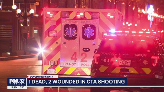 Man shot dead, 2 wounded in tunnel of CTA Jackson station in the Loop: police