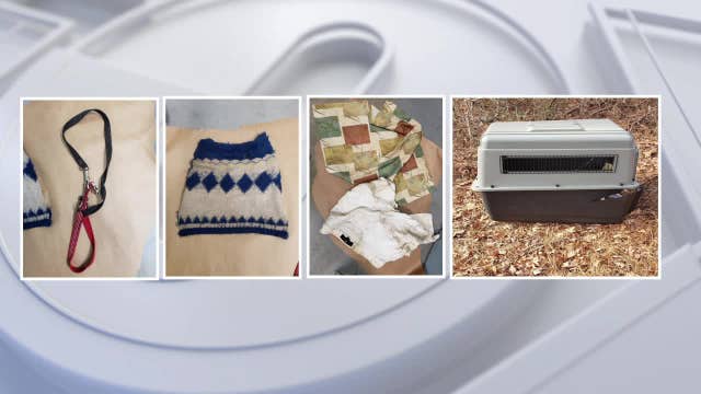 Police: Puppy found dead in crate in Millville woods