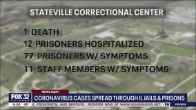 Illinois inmate dies from COVID-19; dozens more sickened