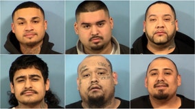 9 hit with weapon, drug charges in Addison gang bust