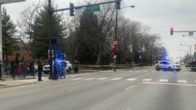 Man killed in West Lawn hit-and-run crash: police