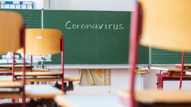 Some Illinois professors disagree with school reopening plans