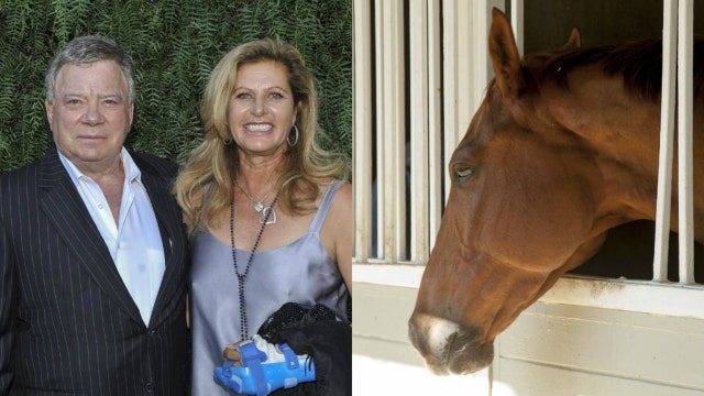 William Shatner awarded horse semen in his divorce settlement