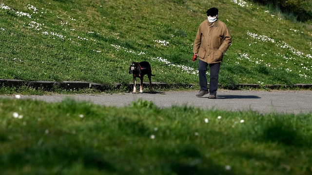 Italian region sets 650 foot limit on dog walking in effort to control coronavirus