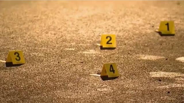 Person found shot to death in Chicago's Gresham neighborhood