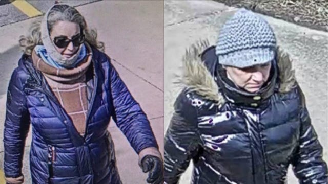 Police seek suspects in Naperville jogger attack