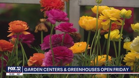 Illinois garden centers and greenhouses reopen Friday