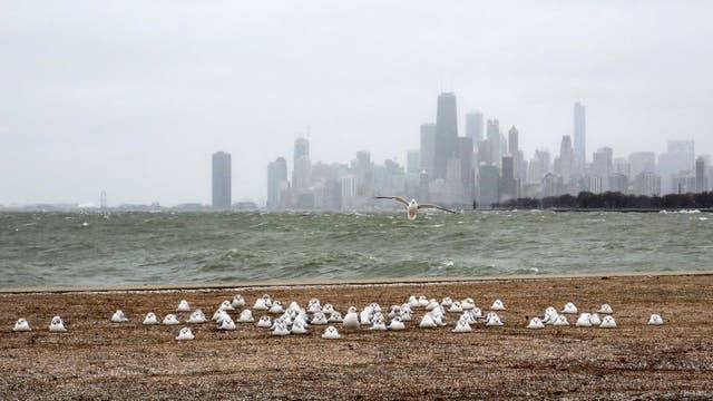 Chicago businessman buys Indiana Beach amusement park, hopes to reopen this summer