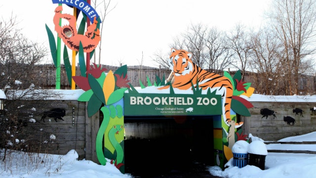 Brookfield Zoo cuts 56 positions as facilities remain closed