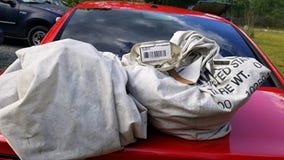 Virginia family out for ride finds nearly $1 million in road