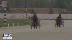 Illinois harness leaders push to begin horse racing again amid COVID-19 pandemic