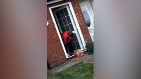 Grandma’s reaction to surprise KFC delivery from granddaughter is everything