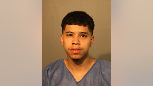 Man, teen charged with carjacking, hitting cyclist in West Town